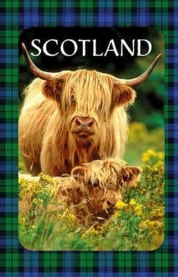 Highland Coo Scottish 100% Cotton Tea Towel