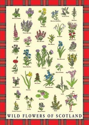 Scottish Tea Towels