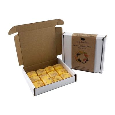 Sweet Candied Fruit Wax Melts, Winter Edition
