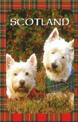 Westies in Heather Scottish 100% Cotton Tea Towel