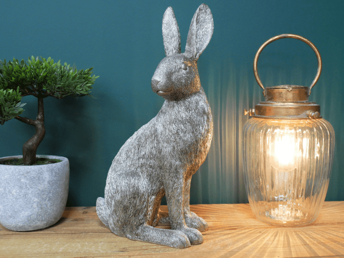 Large silver hare