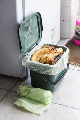 Compostable Liners for Food Caddys