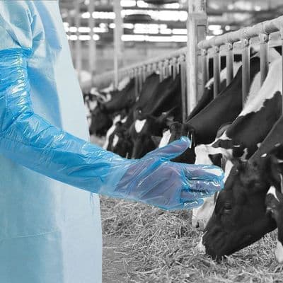 Long Inspection Gauntlets