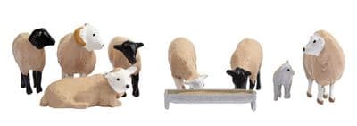 36-083 Sheep