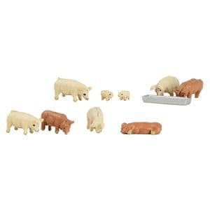 379-342  Pigs