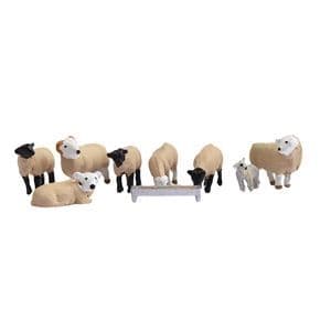 379-343 Sheep
