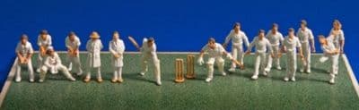 5300 Cricket Team