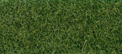 GM1324 Marsh Soil 2.5mm Static Grass 30g
