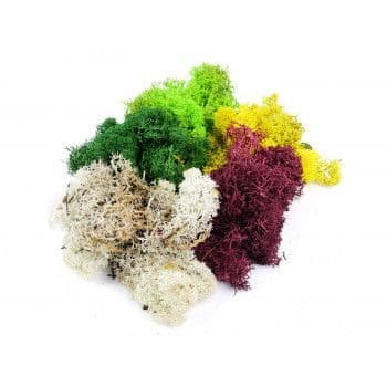 GM1600 Mixed Lichen 80g