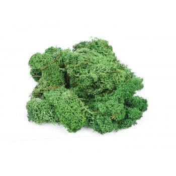 GM1602 Dark Green Lichen 80g