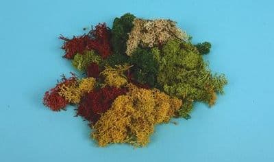 GM166 Assorted Lichen