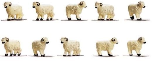 R7122 Sheep
