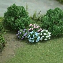 TS00375 Hydrangea
