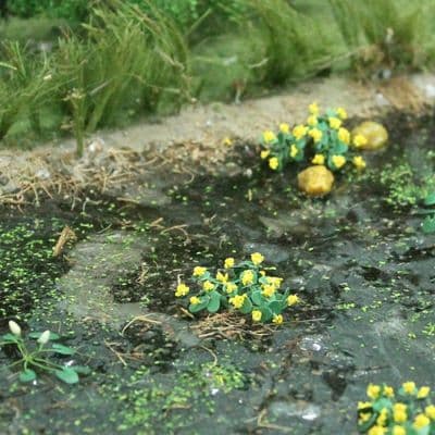 TS00376 Marsh Marigold (16 per pack)