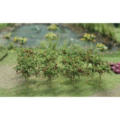 TS00379 Apple saplings (10 per pack)