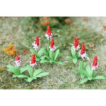 TS00679 Primroses (32)