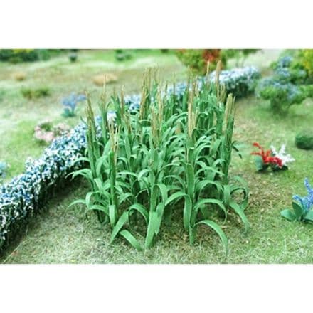 TS00680 Sweetcorn (32)