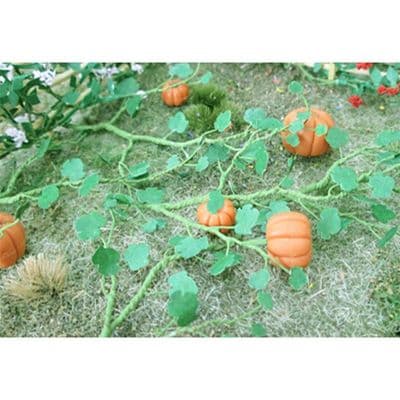 TS00681 Pumpkins (6)