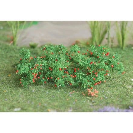 TS00682 Tomatoes (16)