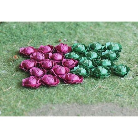TS00683 Cabbages (18 per pack)
