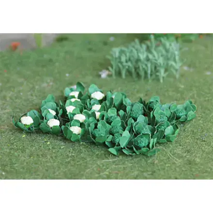 TS00684 Broccoli & Cauliflowers (18)
