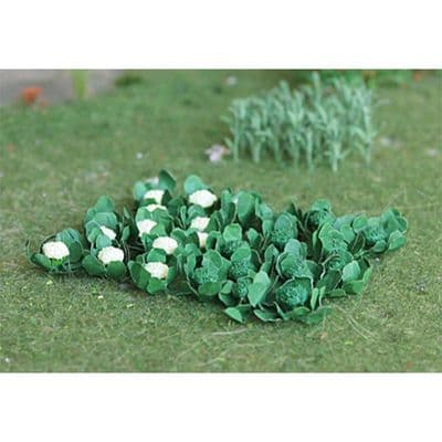 TS00684 Broccoli & Cauliflowers (18 per pack)