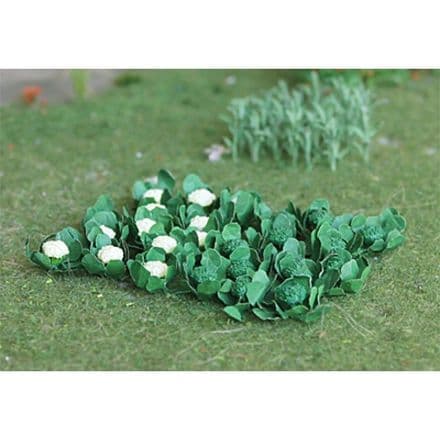 TS00684 Broccoli & Cauliflowers (18 per pack)