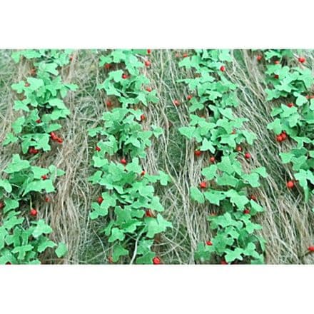 TS00685 Strawberries (18)