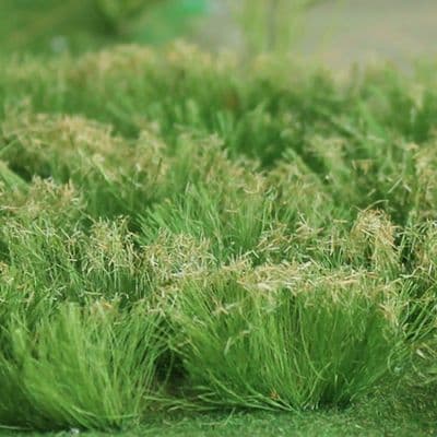 TS00713 Sedge (125mm x 155mm Sheet)