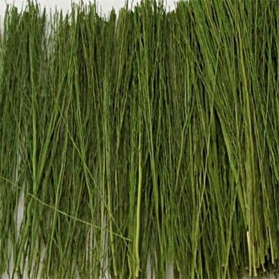 TS00893 Field Grass Light Green (15g)