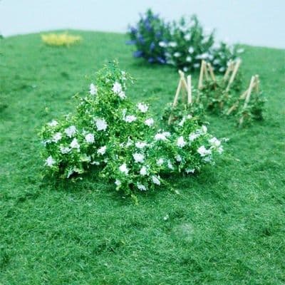 TS00897 Elderflower (10 per pack)