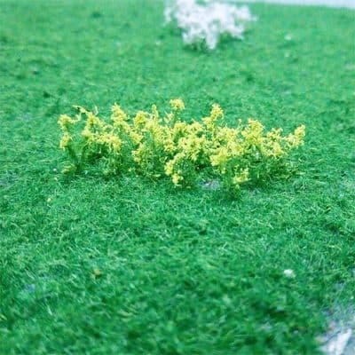 TS00900 Oilseed Rape (32)