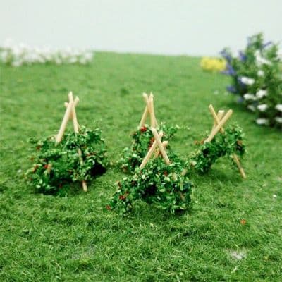 TS00901 Runner Beans (20 per pack)