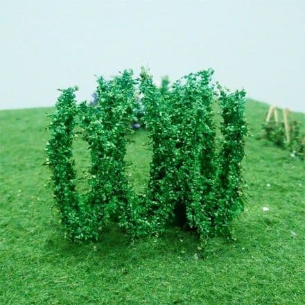 TS00902 Hops (32)