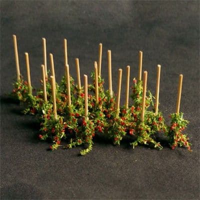 TS00912 N Gauge Tomato Plants (18)