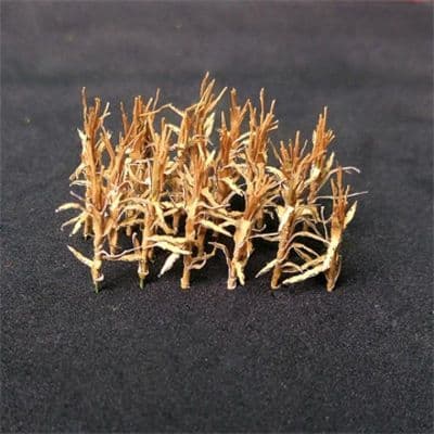 TS00927 N Gauge Dried Corn Stalks (24)