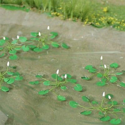 TS00934 Water Lillies (10)