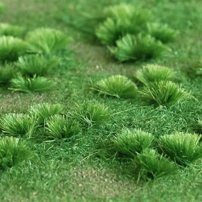 TS00938 Green Meadow