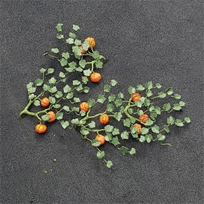 TS00991 N Gauge Pumpkins (5 per pack)