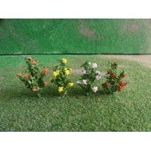 TS01009 Hibiscus