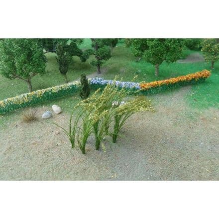 TS01010 Green Wheat