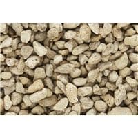 WC1272 Coarse Buff Talus