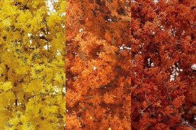 WF1135 Fall Mix Fine Leaf Foliage