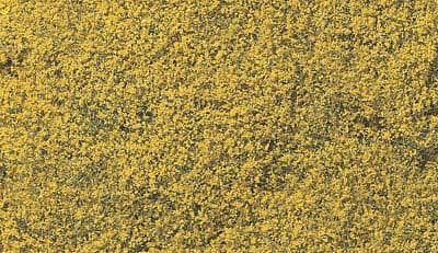 WF176 Yellow Flowering Foliage