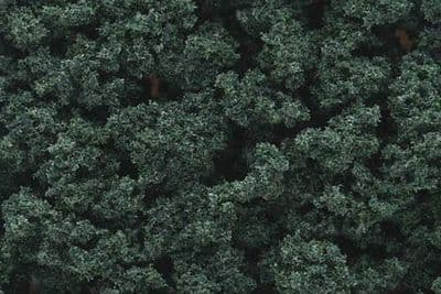 WFC147 Dark Green Bushes