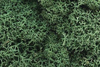 WL162 Light Green Lichen