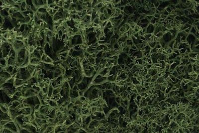 WL163 Medium Green Lichen