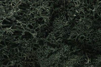 WL164 Dark Green Lichen