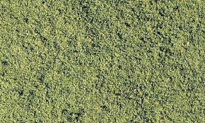 WT49 Green Blend Fine Turf