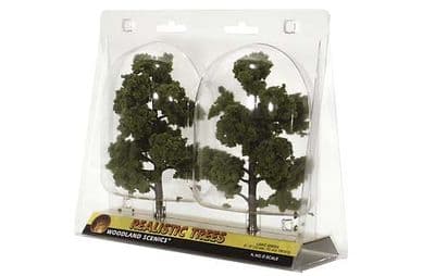 WTR1112 3-7in.Med Green Decid Trees